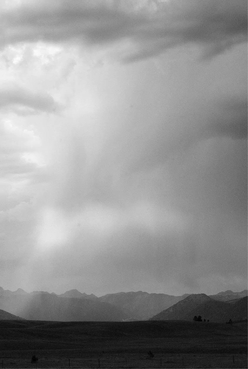 figure05 Language of Wo_fmt